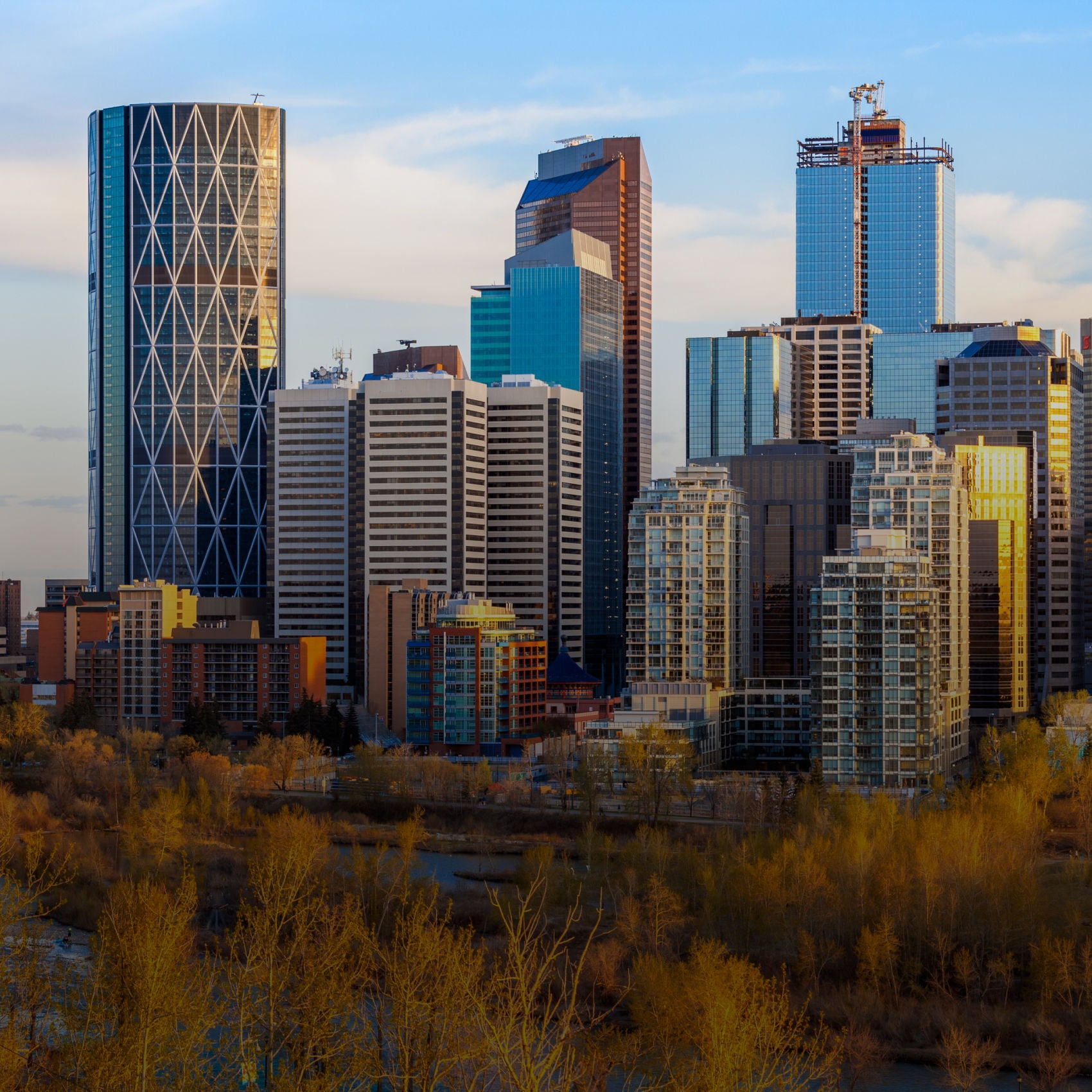 calgary image