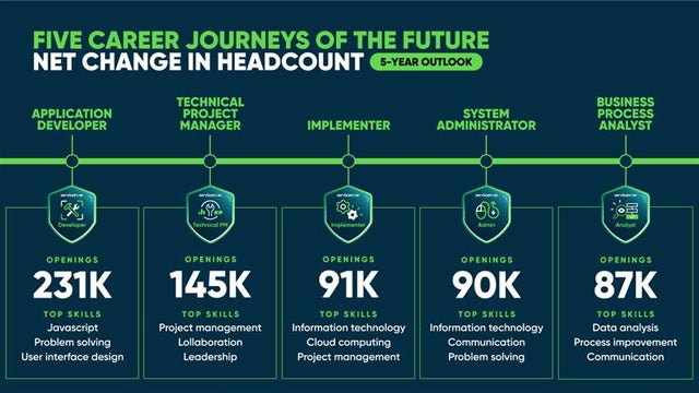 Five career journeys of the future: application developer, technical project manager, implementer, system administrator, business process analyst