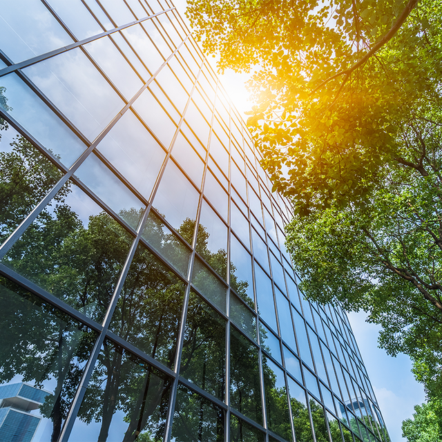 Upward look at a modern office building and green trees
