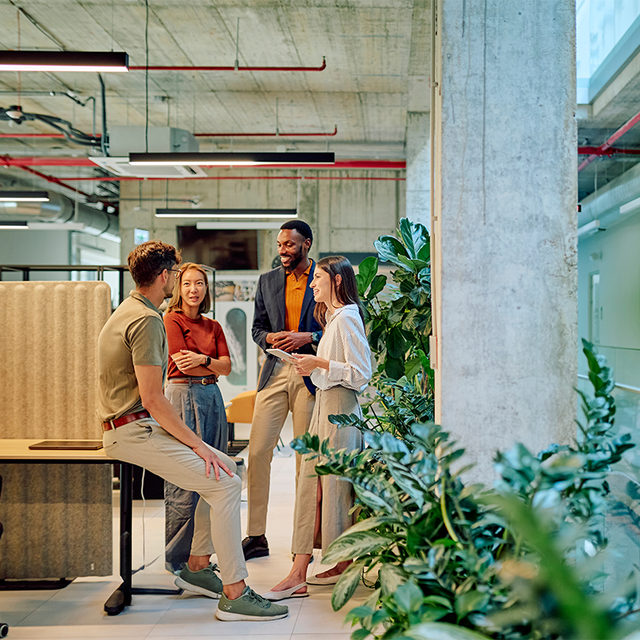 Four workers engaged in conversation in a modern office with green plants