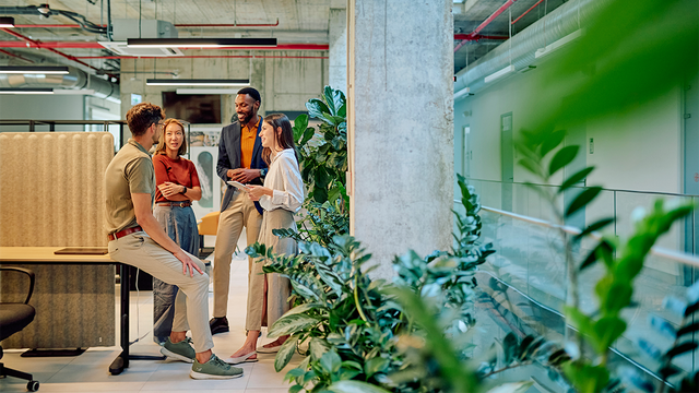 Four workers engaged in conversation in a modern office with green plants