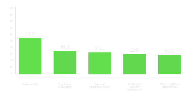 Bar chart showing top AI risks and challenges. Cybersecurity leads at 53.9%, followed by Regulatory compliance (33.8%), Personal/individual privacy (32.9%), Intellectual-property infringement (29.9%), and Workforce/labor displacement (28.8%)